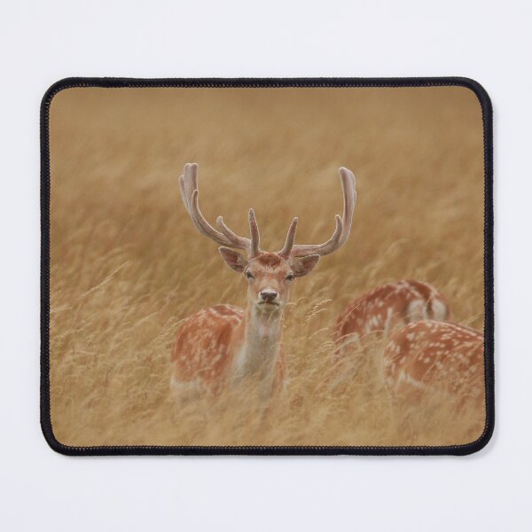 Item preview, Stunning Stag designed and sold by miradorpictures.