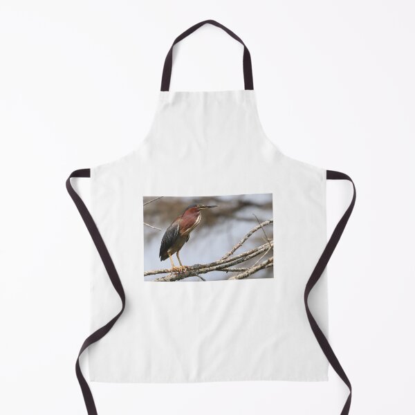 Item preview, Green Heron on a Branch designed and sold by Judy Geller.
