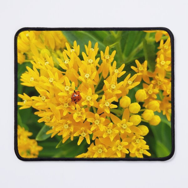 Item preview, Ladybug on Butterfly Weed designed and sold by GardenOfPeace.
