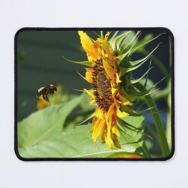 Item preview, Inbound! designed and sold by GardenOfPeace.