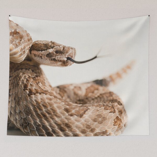 Item preview, Rattlesnake Shake designed and sold by Kevin Wellard.