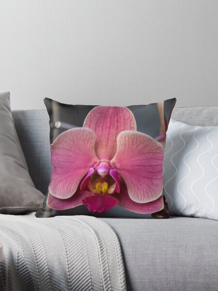 Item preview, Orchid designed and sold by VisionaryShots2.