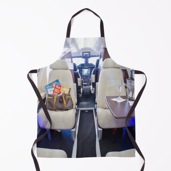 Item preview, Phenom 100 Cabin Interior designed and sold by BLGeiger2023.