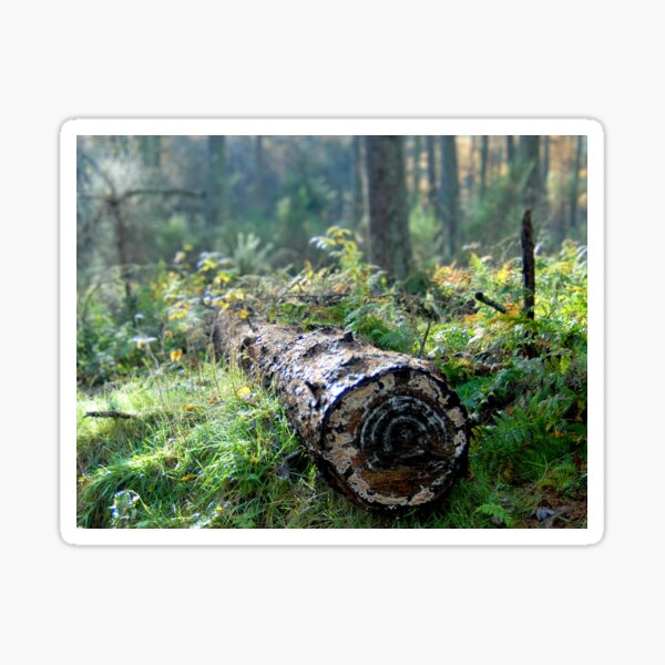 Item preview, A Wump of Wood designed and sold by Grahamgc.