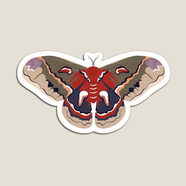 Item preview, Cecropia Silk Moth Illustration designed and sold by itsgoodjunk.