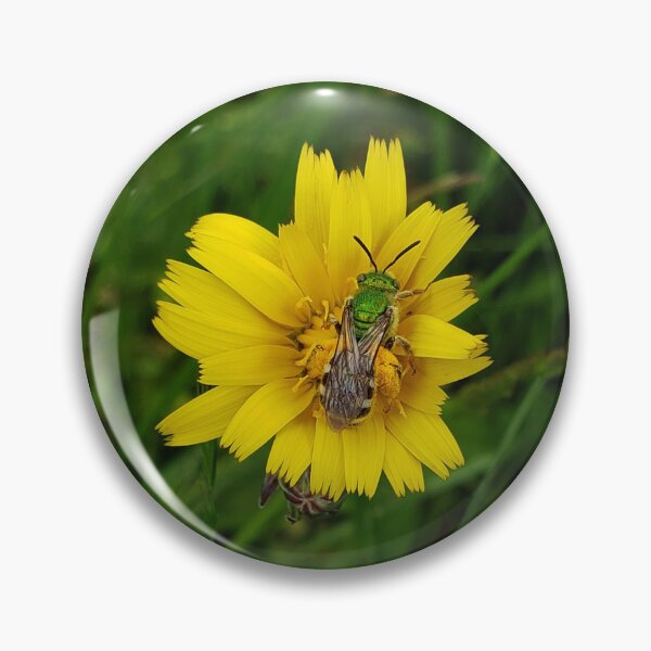 Item preview, Native bee of the PNW designed and sold by MeadowGoblin.