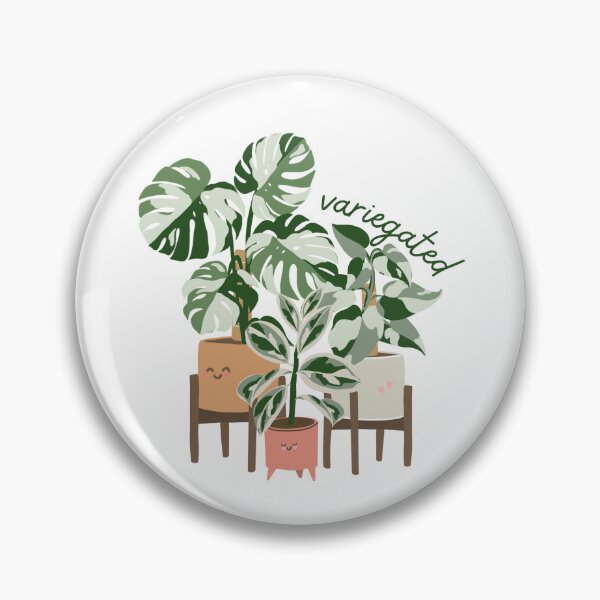 Item preview, Variegated cute potted house plants designed and sold by DesignByRoseCo.