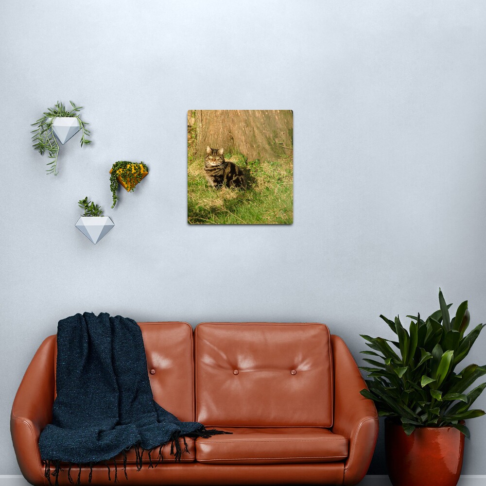 The Cat Metal Print