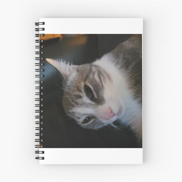 Item preview, cat designed and sold by taylormcdonald.