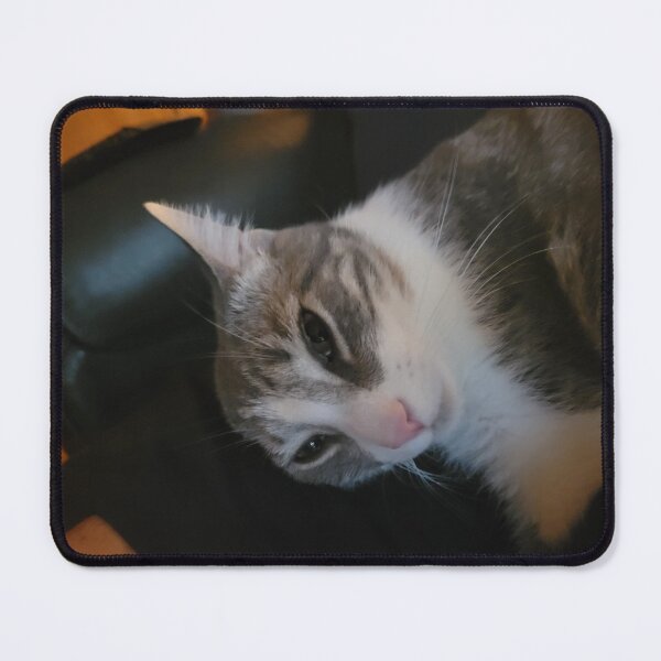 Item preview, cat designed and sold by taylormcdonald.