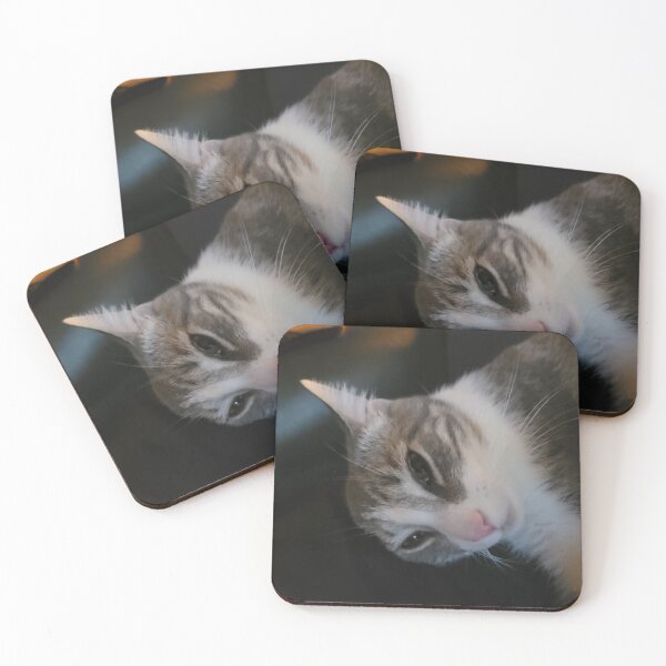 Item preview, cat designed and sold by taylormcdonald.
