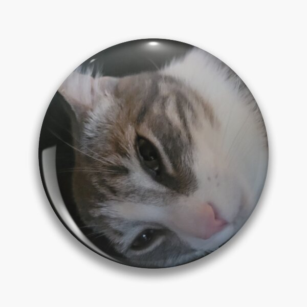 Item preview, cat designed and sold by taylormcdonald.