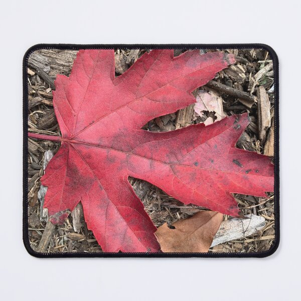 Item preview, Fall leave designed and sold by agnessa38.