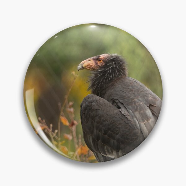 Item preview, Autumn Condor designed and sold by DWMMPhotography.