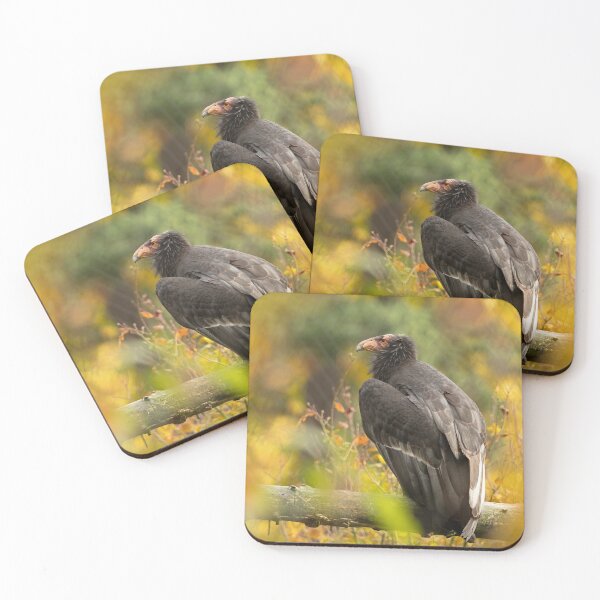 Item preview, Autumn Condor designed and sold by DWMMPhotography.