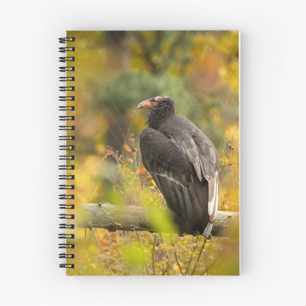 Item preview, Autumn Condor designed and sold by DWMMPhotography.