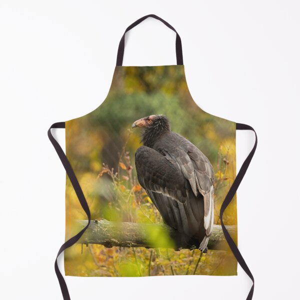 Item preview, Autumn Condor designed and sold by DWMMPhotography.