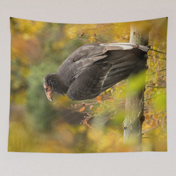 Item preview, Autumn Condor designed and sold by DWMMPhotography.