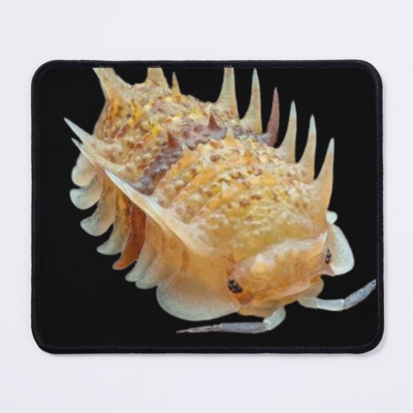 Item preview,  Rubber ducky isopod plush designed and sold by Obinne.