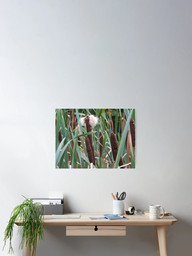 Imagen 2 de 3, Póster con la obra Bull Rushes, diseñada y vendida por Sandra Mangnall.