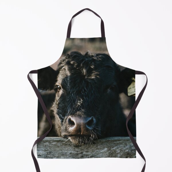 Item preview, Angus Cow Photo designed and sold by TheAnimalZ00.