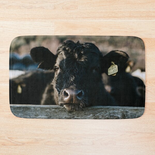 Item preview, Angus Cow Photo designed and sold by TheAnimalZ00.