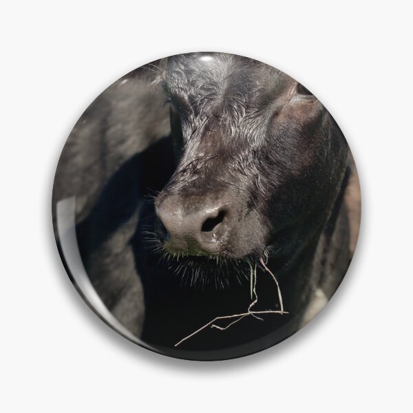 Item preview, Angus Cow  designed and sold by TheAnimalZ00.