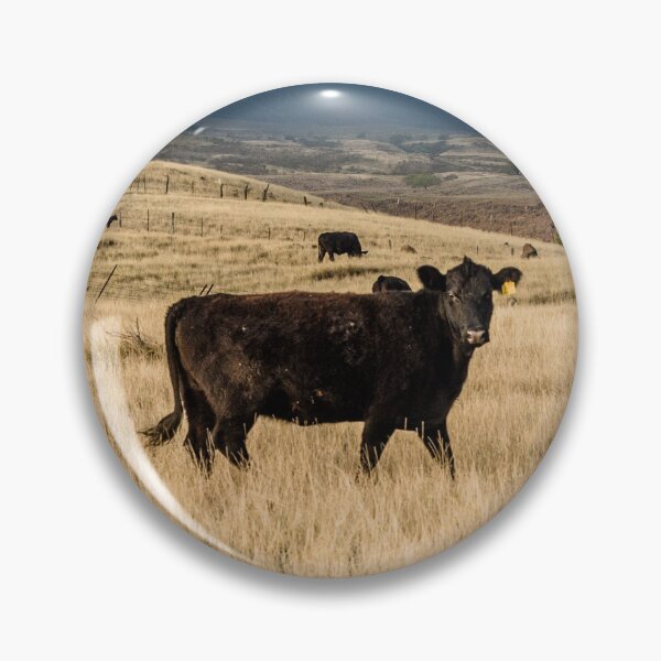 Item preview, Field of Angus Cows  designed and sold by TheAnimalZ00.