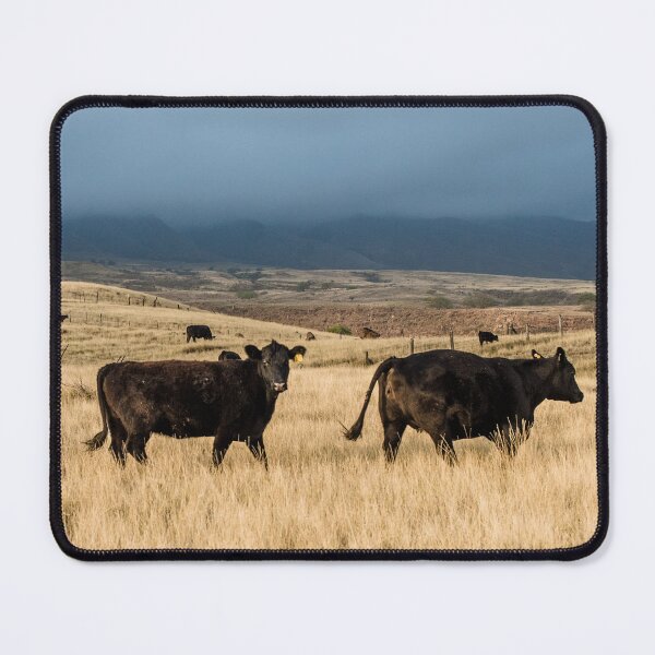 Item preview, Field of Angus Cows  designed and sold by TheAnimalZ00.