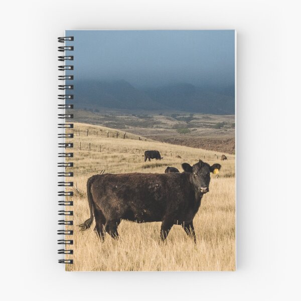 Item preview, Field of Angus Cows  designed and sold by TheAnimalZ00.