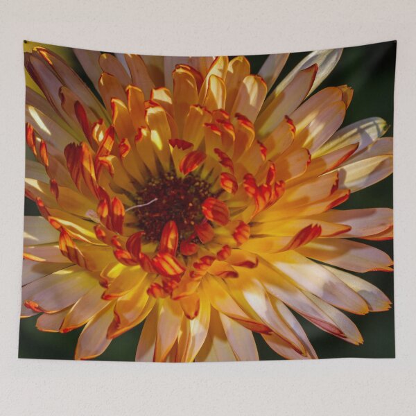 Item preview, Lovely Calendula designed and sold by alanathrower.