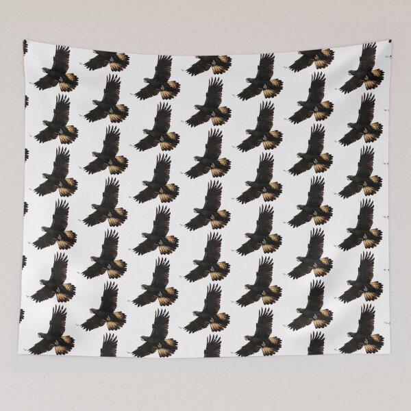 Item preview, Australian birds - red-tailed black-cockatoo juvenile designed and sold by Ozjanette90.