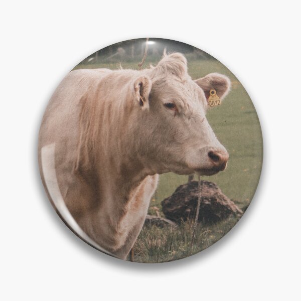 Artikelvorschau, Charolais-Kühe entworfen und verkauft von TheAnimalZ00.