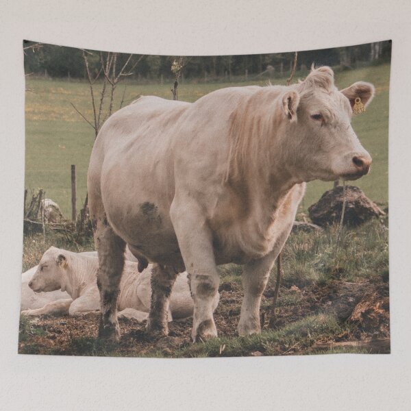 Artikelvorschau, Charolais-Kühe entworfen und verkauft von TheAnimalZ00.