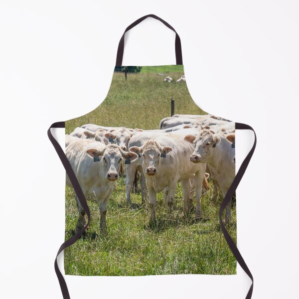 Item preview, Charolais Cattle Photo designed and sold by TheAnimalZ00.