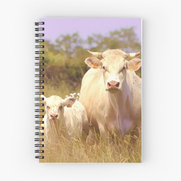 Item preview, Charolais Cow Painting designed and sold by TheAnimalZ00.