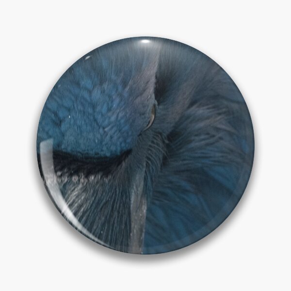 Item preview, Raven Blue designed and sold by DWMMPhotography.