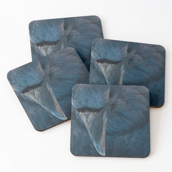 Item preview, Raven Blue designed and sold by DWMMPhotography.