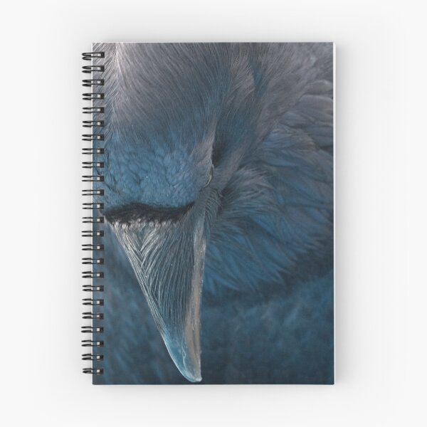 Item preview, Raven Blue designed and sold by DWMMPhotography.