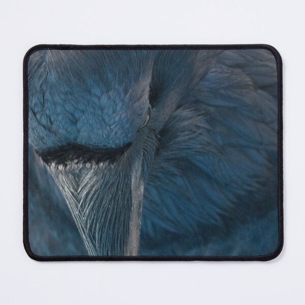 Item preview, Raven Blue designed and sold by DWMMPhotography.