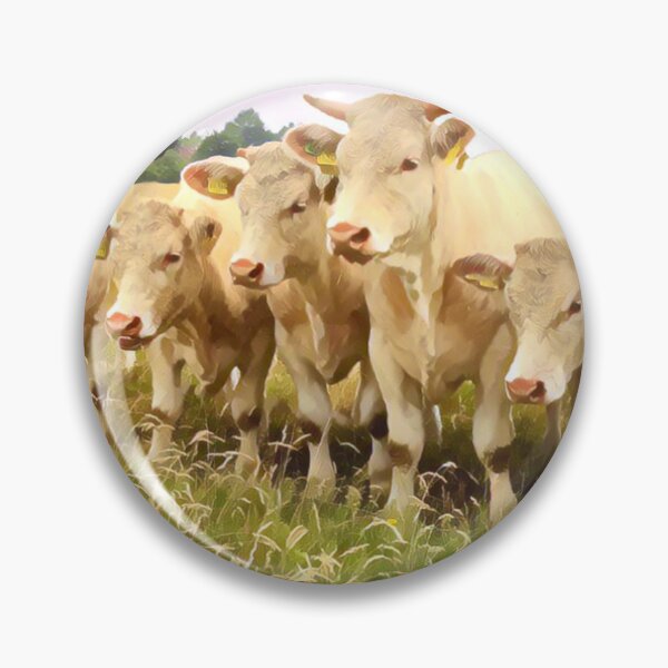 Artikelvorschau, Charolais-Rinder entworfen und verkauft von TheAnimalZ00.