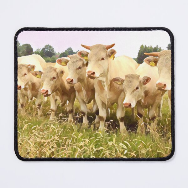 Item preview, Charolais Cattle designed and sold by TheAnimalZ00.