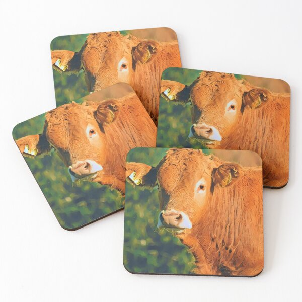 Item preview, Limousin Cow Picture  designed and sold by TheAnimalZ00.