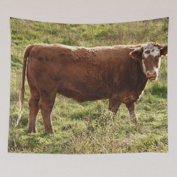 Item preview, Simmental Cow  designed and sold by TheAnimalZ00.