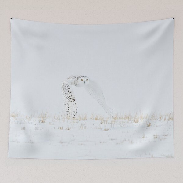 Item preview, Snowy Owl 3 designed and sold by Shauna Kenworthy.