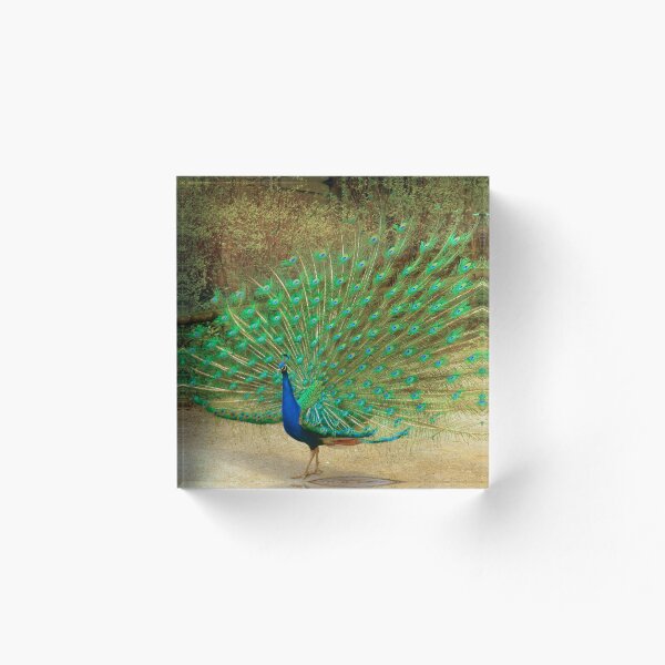 Item preview, Gentle Beauty designed and sold by Emily  Camp.