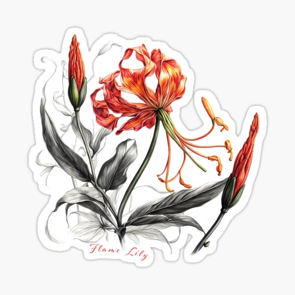 25+ Realistic Lily Tattoo Designs for a Lifelike Touch