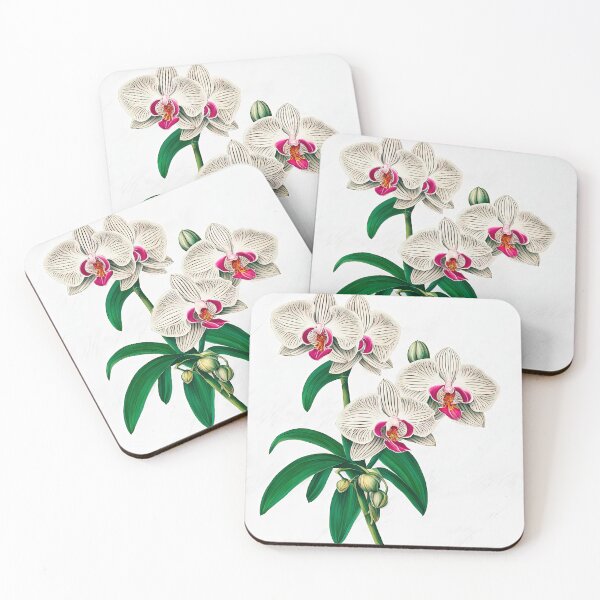 Item preview, Beautiful Phalaenopsis Orchid designed and sold by LanaGustavsson.