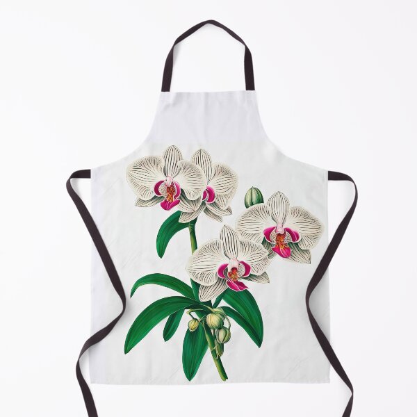 Item preview, Beautiful Phalaenopsis Orchid designed and sold by LanaGustavsson.