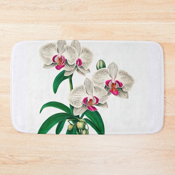 Item preview, Beautiful Phalaenopsis Orchid designed and sold by LanaGustavsson.